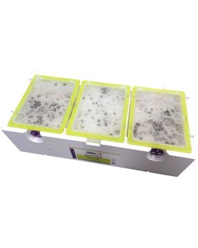 Multi-Hive colmena | Inicio |  Multi-Hive – colmena resistente a la intemperie, para una polinización fiable al aire libre  D...