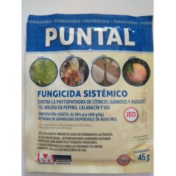 Fungicida PUNTAL de Massó